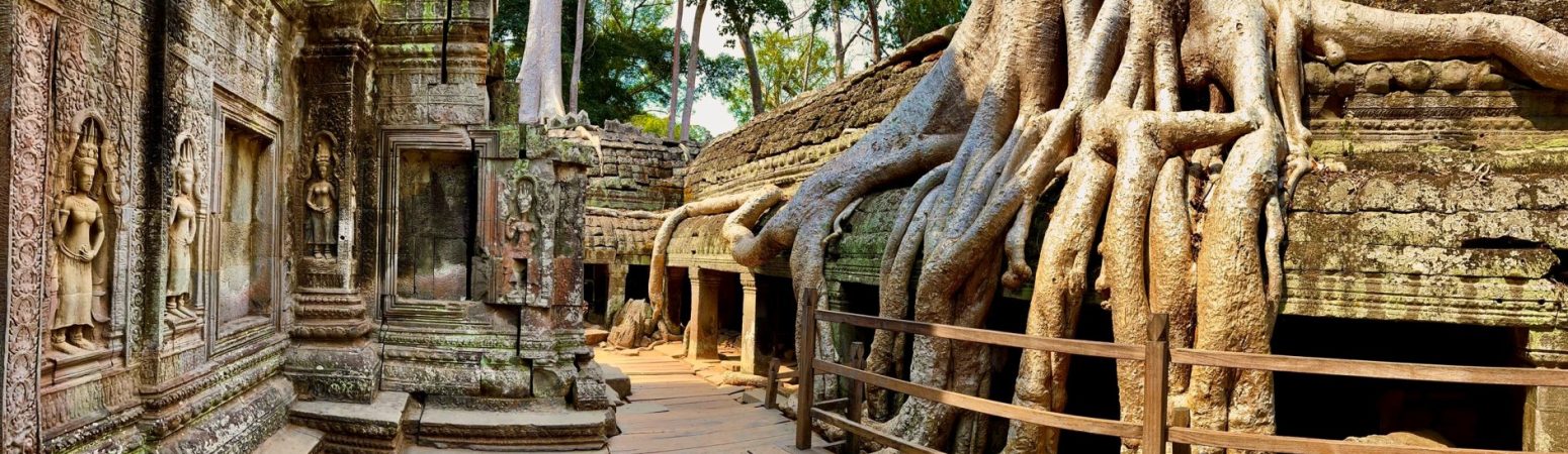 Ta Prohm Temple