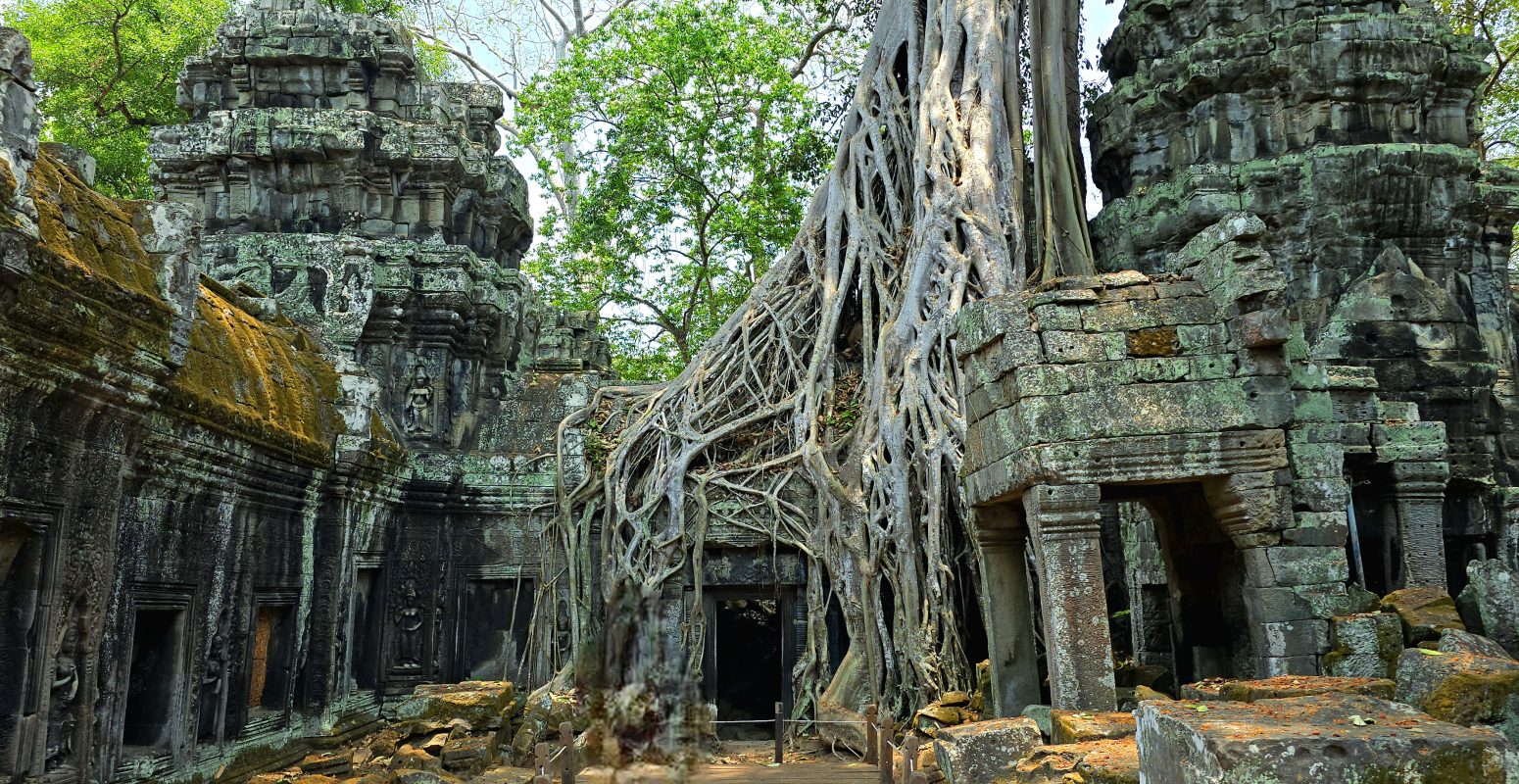Le Temple de Ta Prohm, Le guide d&rsquo;Angkor