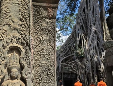 le temple de Ta Prohm